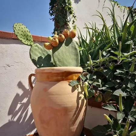 Bed & Breakfast Ziella